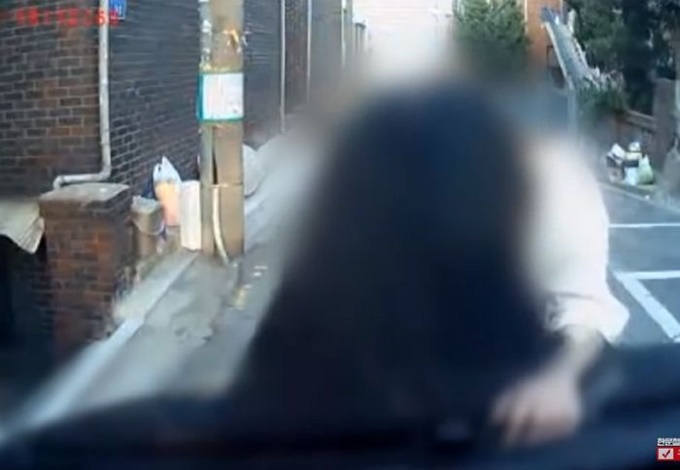이미지에 대체텍스트 속성이 없습니다; 파일명은 2n0tm5874imeosqigf8d.jpg 입니다.