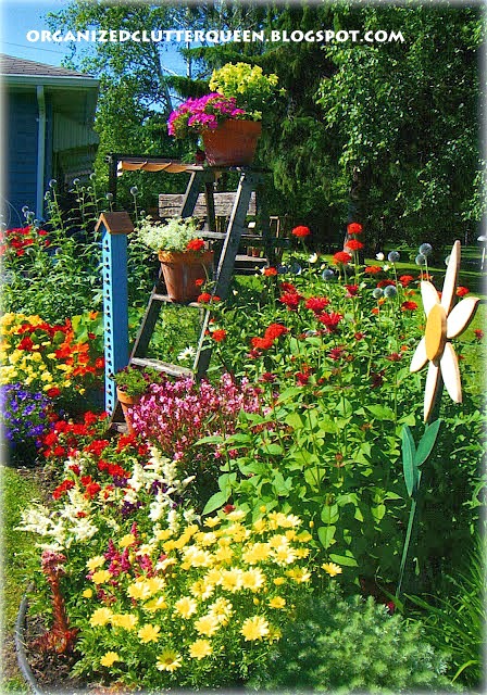 Photo of a junk garden ladder in the border