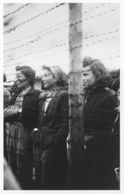 Mauthausen worldwartwo.filminspector.com