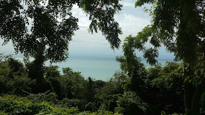 View of Lake Huron through trees View of Lake Huron through trees