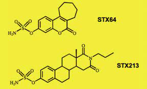 健康長寿をもたらすSUL阻害剤:  STX64 やSTX213