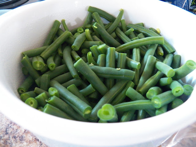 Green Beans for Awesome Green Bean Casserole