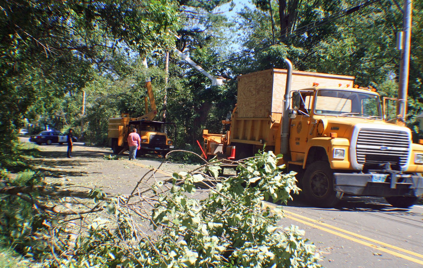 77,000 Service-Trees 38