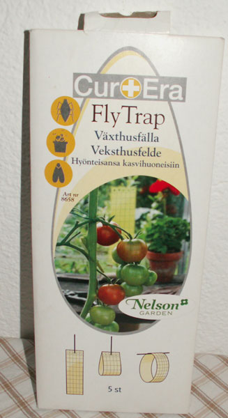 Mias trädgård: Blommig fredag - metamorfoser