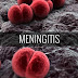 Nigeria: Meningitis - Warning Signs Save Lives