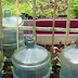 9 Genius Garden Hacks You'll Wish You Thought of Long Ago