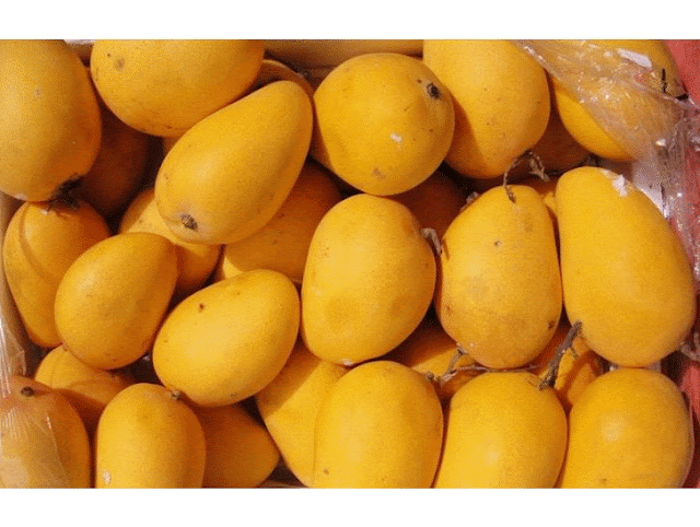 Fruits of Bangladesh 