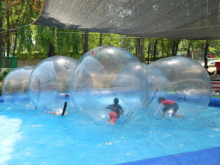 Running like a hamster in the bubble ball