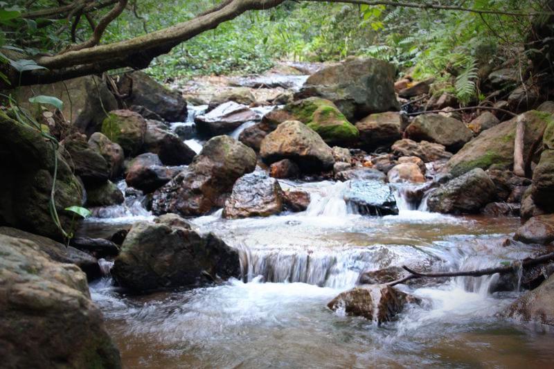 Maredumilli & Rampachodavaram