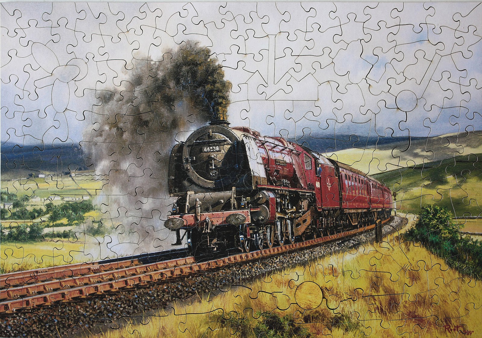STEAM TRAINS AND JIGSAW PUZZLES February 2011
