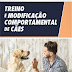 Lidel | "Treino e Modificação Comportamental de Cães" de Ana Teresa Martins da Silva