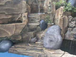 Taman Rumah Minimalis Modern - Inspirasi Desain Rumah Minimalis Modern