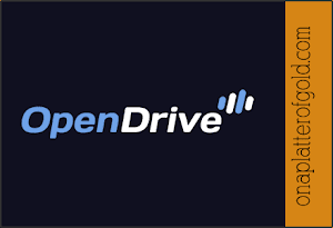 Opendrive.com OpenDrive is arguably the ideal storage to keep your travel light