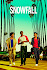 Snowfall Poster