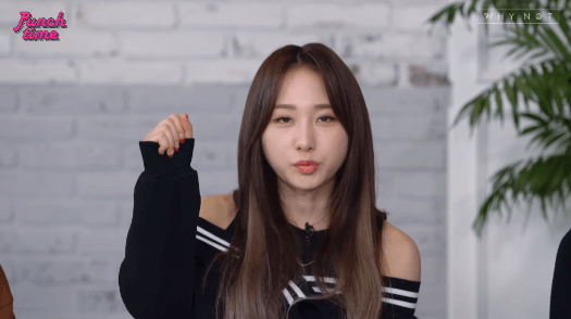 로켓펀치파트너스 이미지