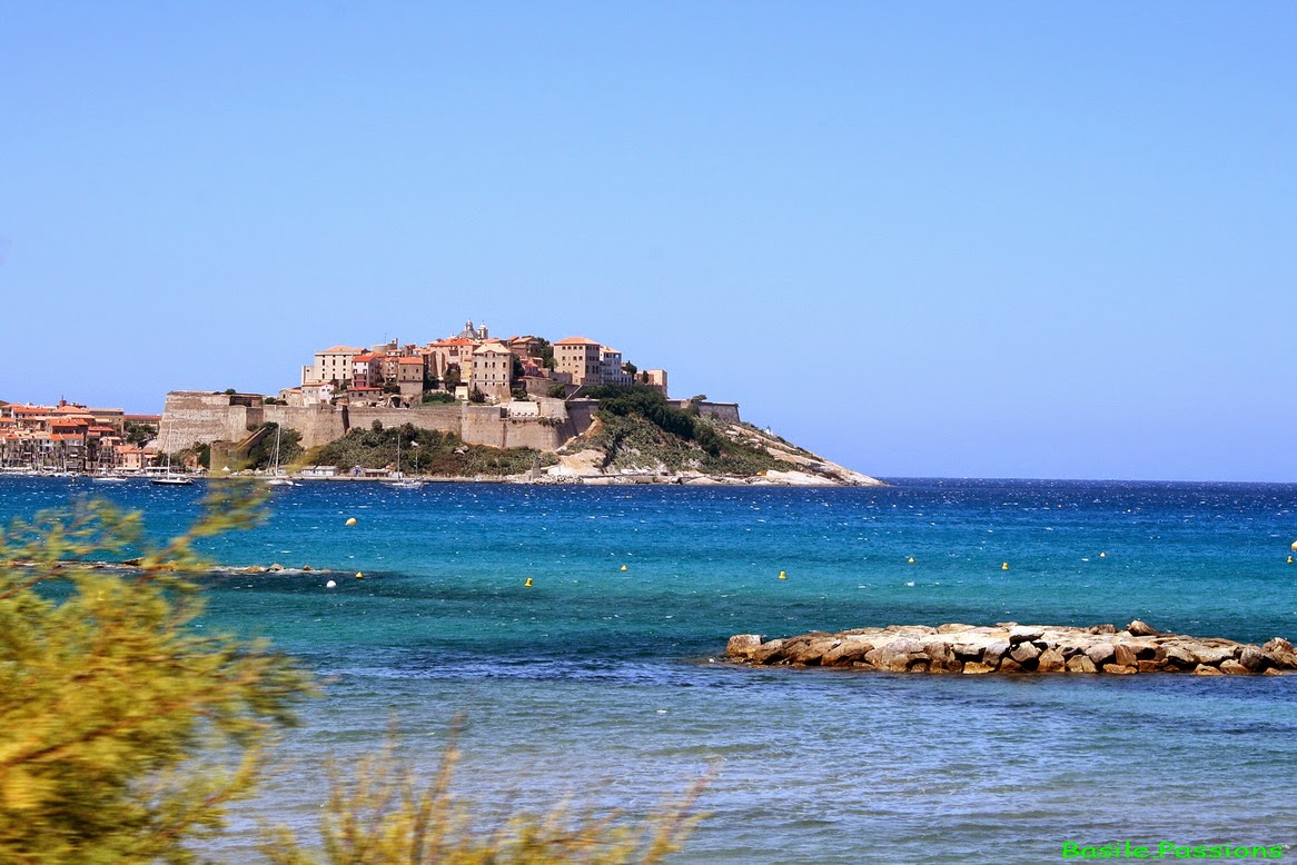 Chemins de Fer de la Corse - Train - Calvi (2B) CORSE - Un aller/retour ...