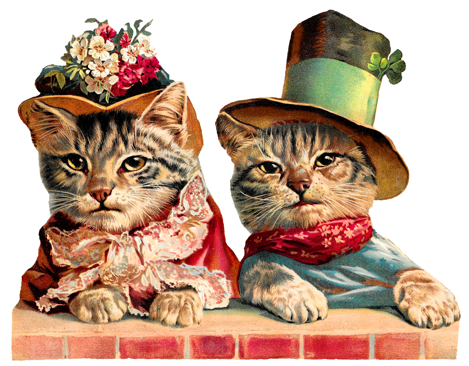 Victorian cats 2025 in clothes