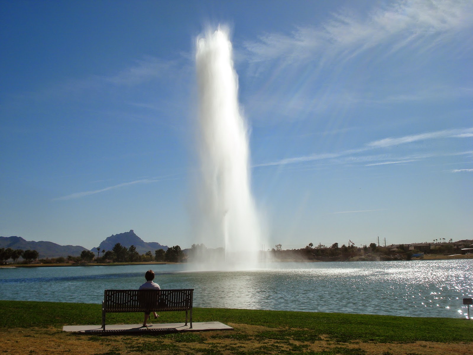 Cape Vincent Citizens Against Turbines "Whiskey Is For Drinking, Water