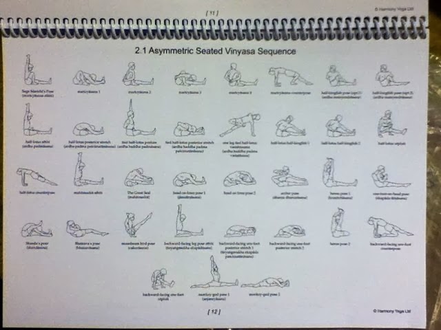 the complete book of vinyasa yoga