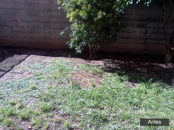 JARDINERIA Y PAISAJISMO DEL NORTE