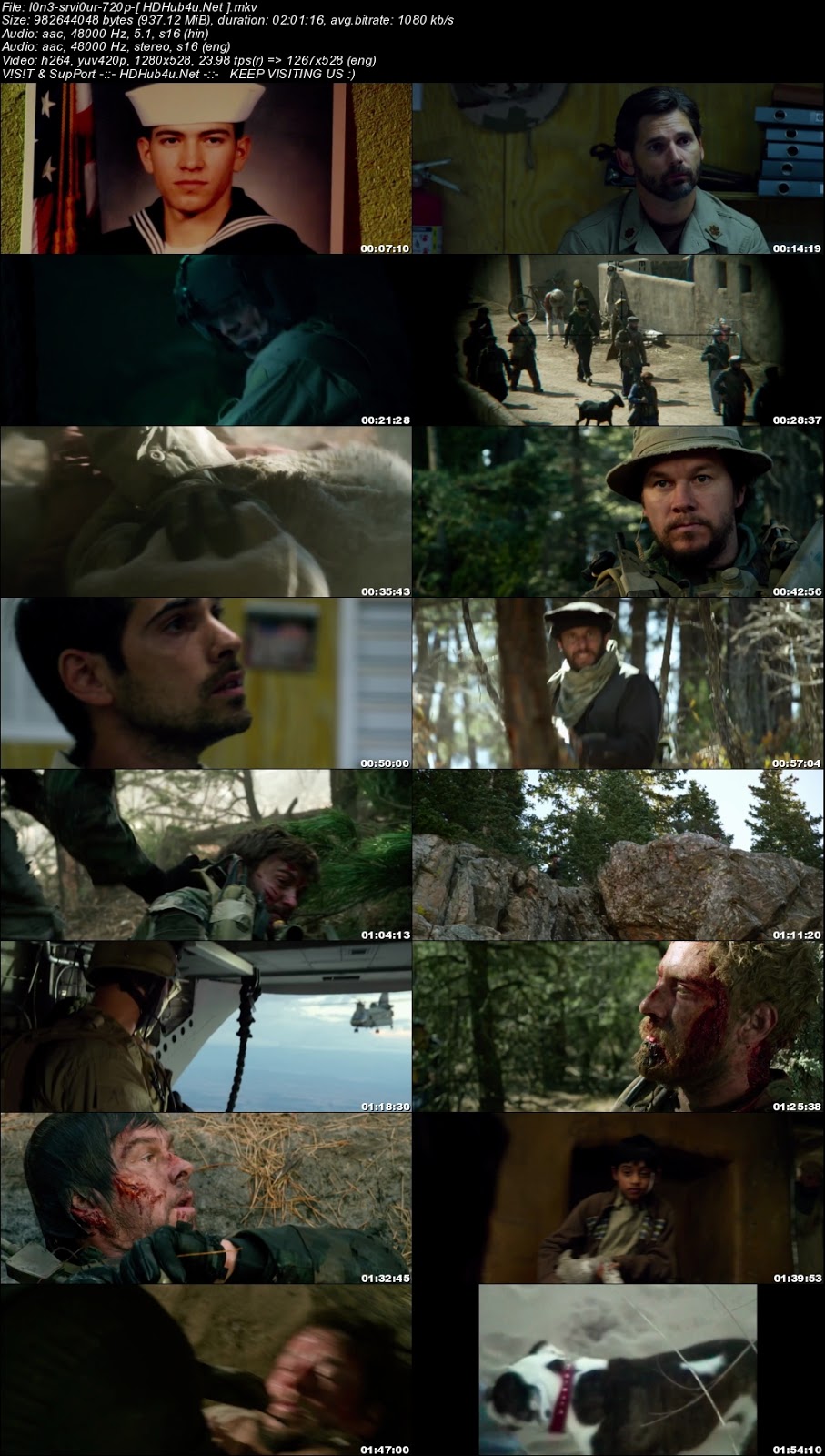 Lone Survivor 2013 Hindi Dual Audio 480p BluRay 350MB Download