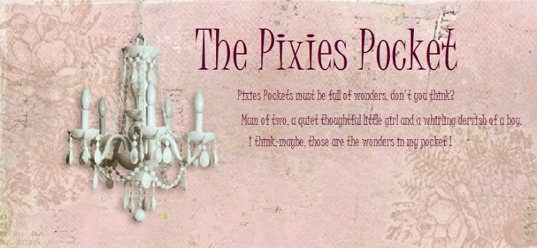 The Pixies Pocket