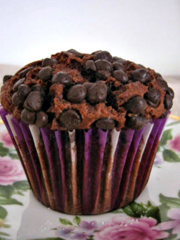 muffin al cioccolato ( chocolate muffins)