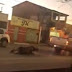 Jegue é arrastado por ruas do centro amarrado em veículo