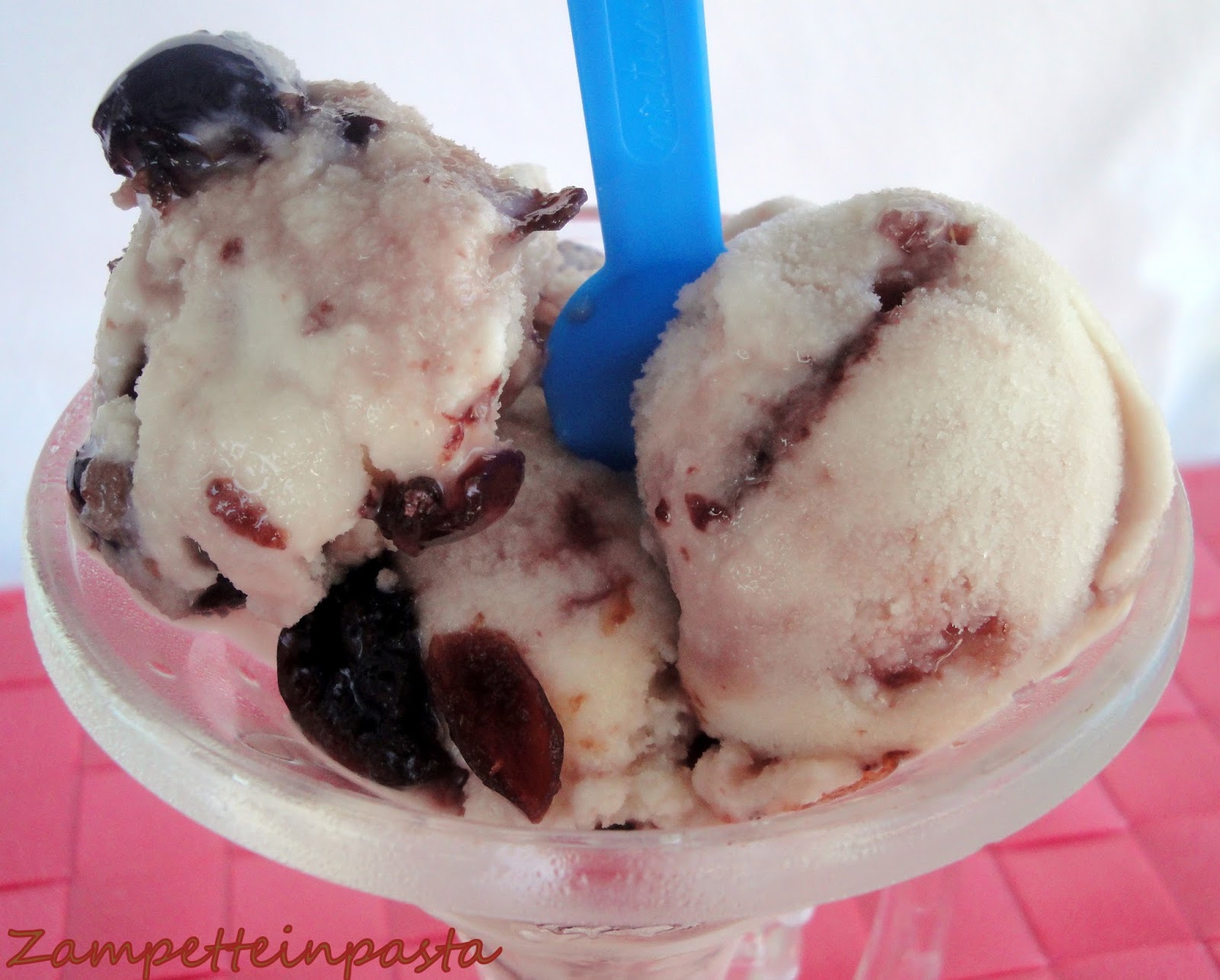 GELATO ALL&amp;#39; AMARENA | ZAMPETTE IN PASTA