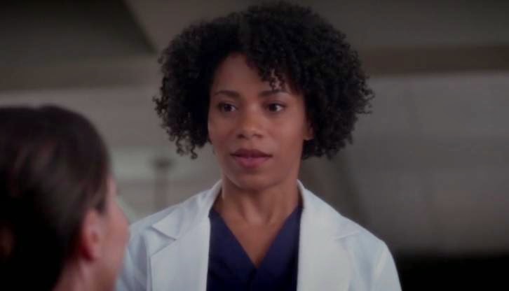 Grey's Anatomy - Puzzle With A Missing Piece - Review