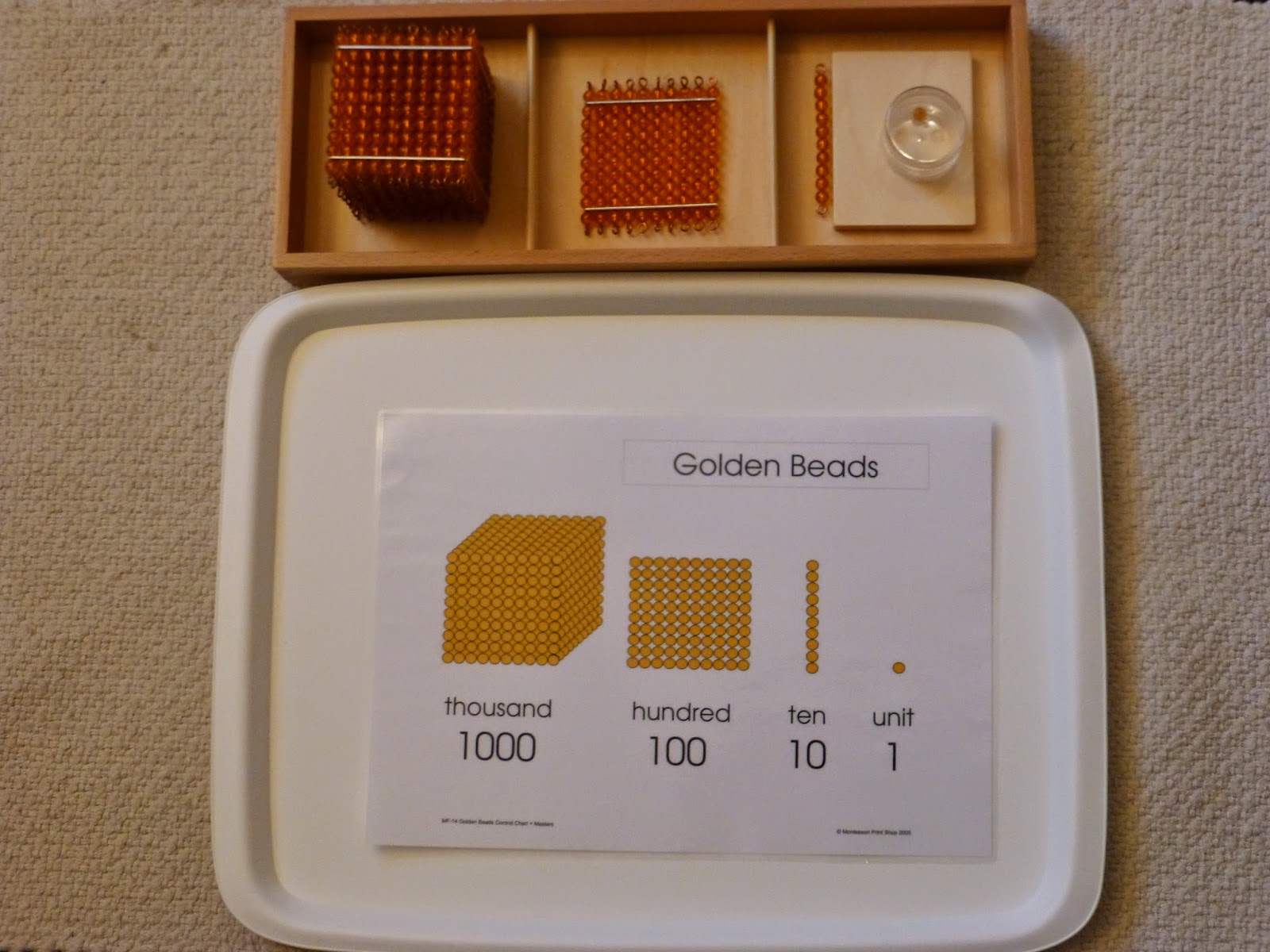 Family FECS Montessori Activity The Bead Sensorial