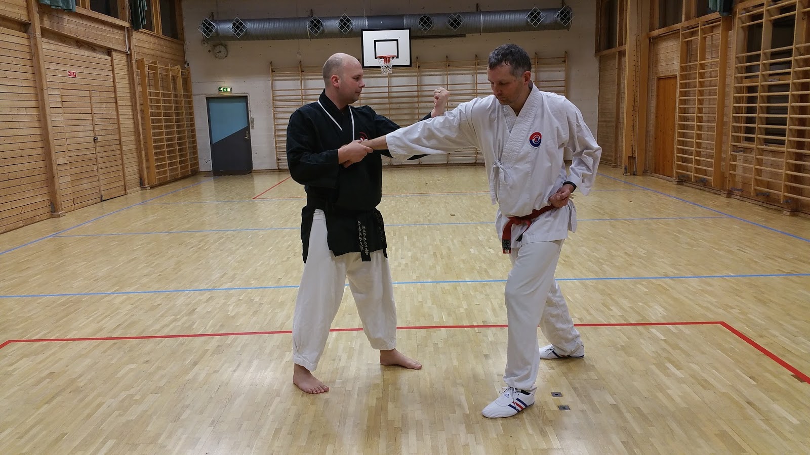 Traditional Taekwondo Ramblings 8 traditional techniques that are