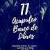 Acapulco Barco de Libros celebra su 11ª Edición