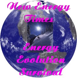 Energy Evolution Survival