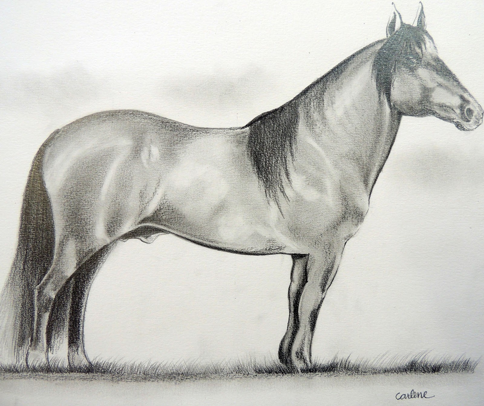 cavalo” grafite em papel – Niky