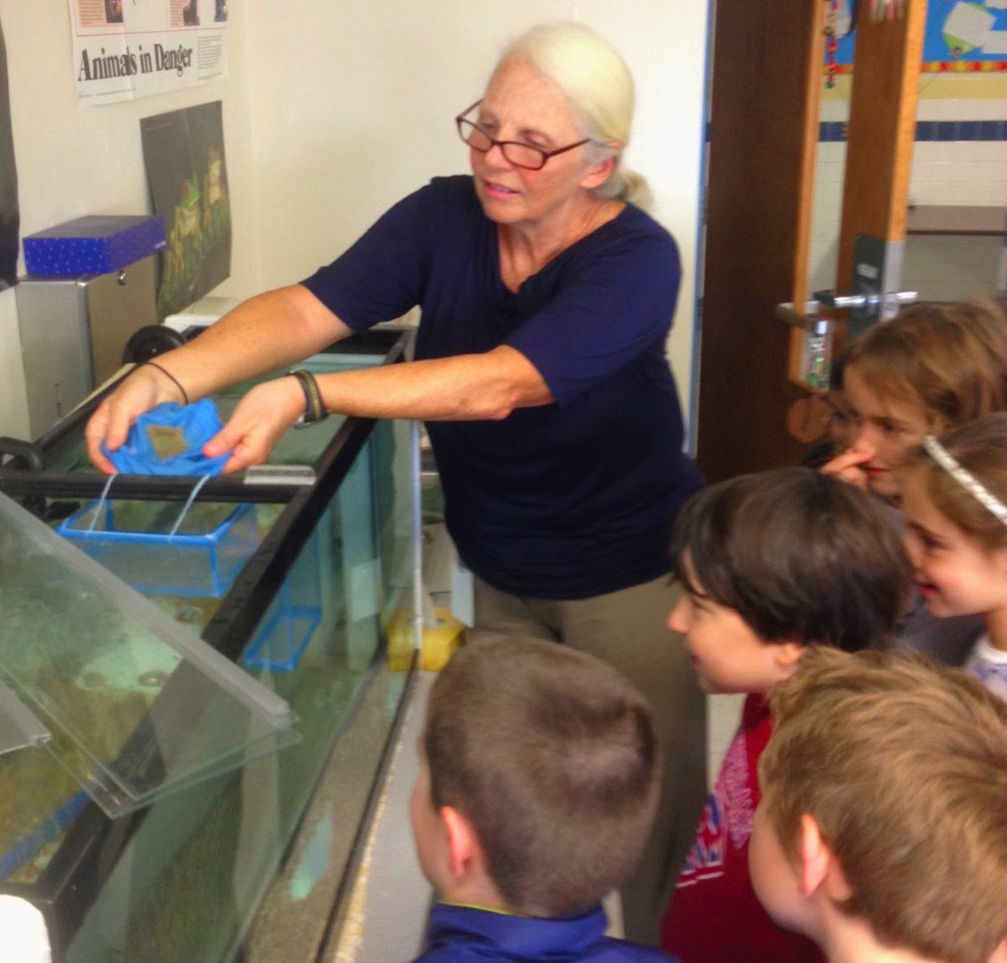 Finger Lakes TROUT In The Classroom Brook Trout Egg Delivery Day