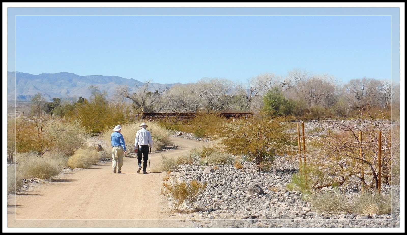 Ken's Photo Gallery Floyd Lamb Park Trip Notes for 02/09/2016