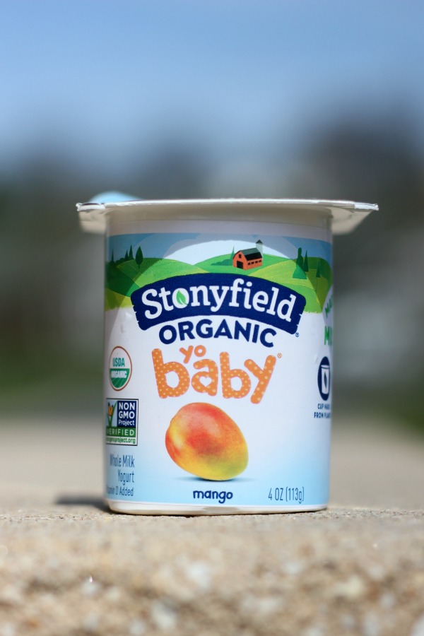 Me and My Pink Mixer Stonyfield YoBaby Yogurt