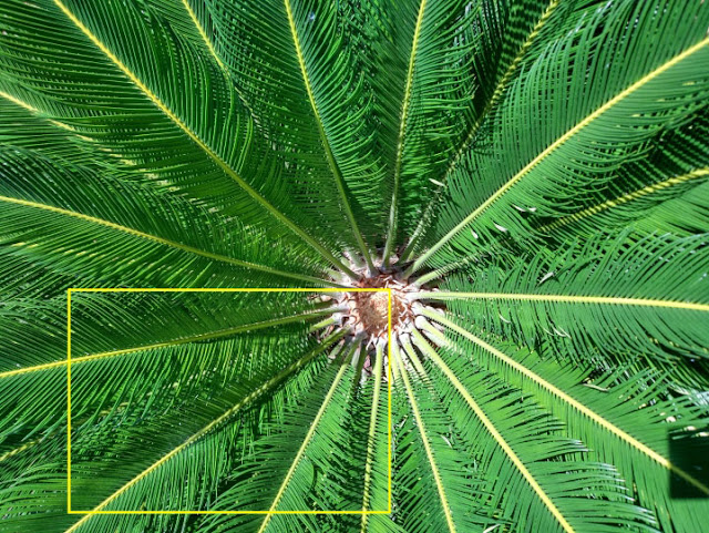 Hogo Barra bocorkan sampel kamera Xiaomi Mi5 mode HDR, terlihat natural dan renyah Hogo Barra bocorkan sampel kamera Xiaomi Mi5 mode HDR, terlihat natural dan renyah