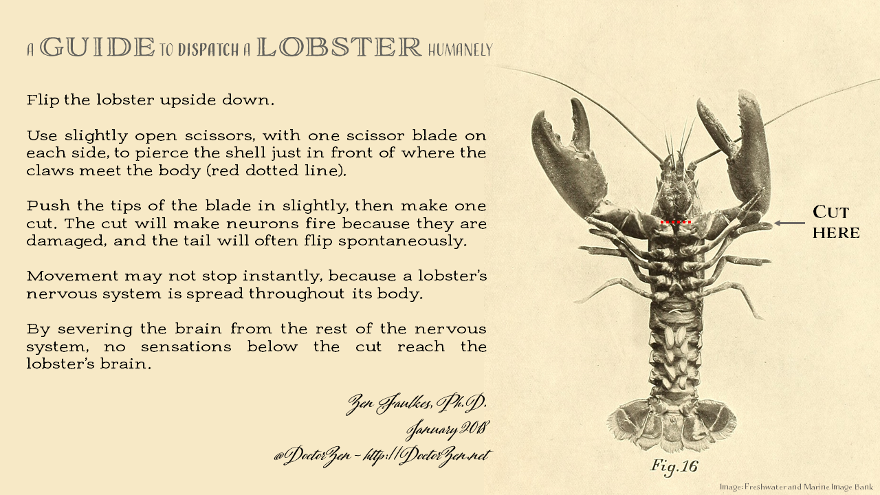 the swiss consider the lobster