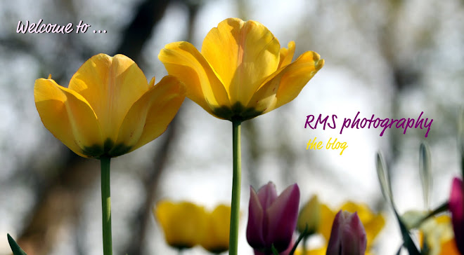 RMS Photography