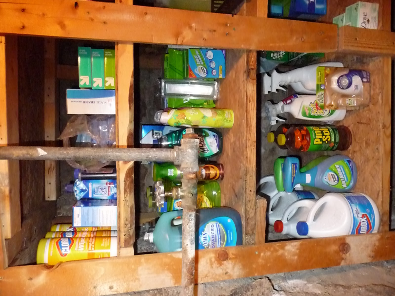 Jasmine's Simple Life My "new" fruit room