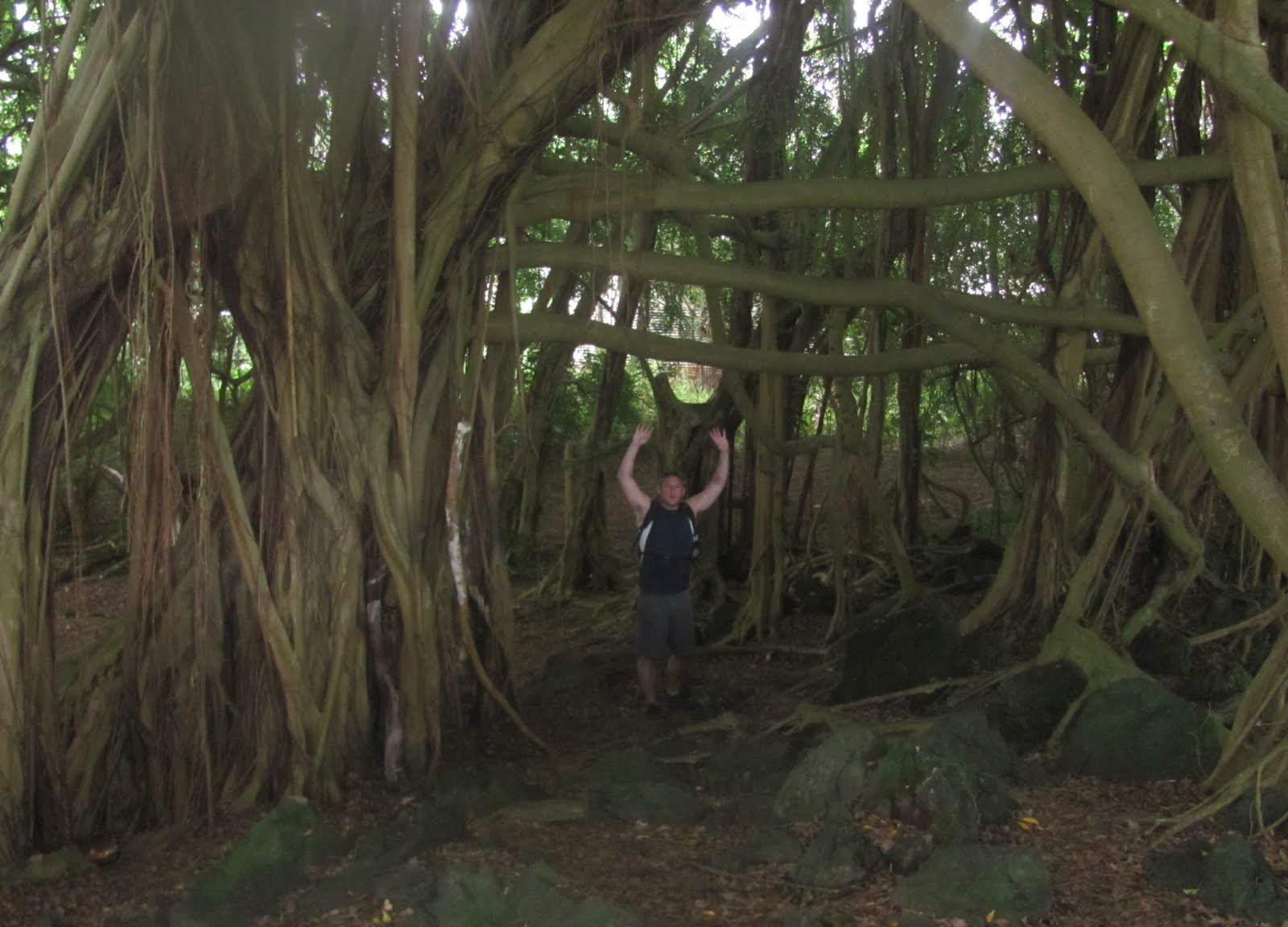 1000 Hikes in 1000 Days RAINBOW FALLS & BOILING POTS