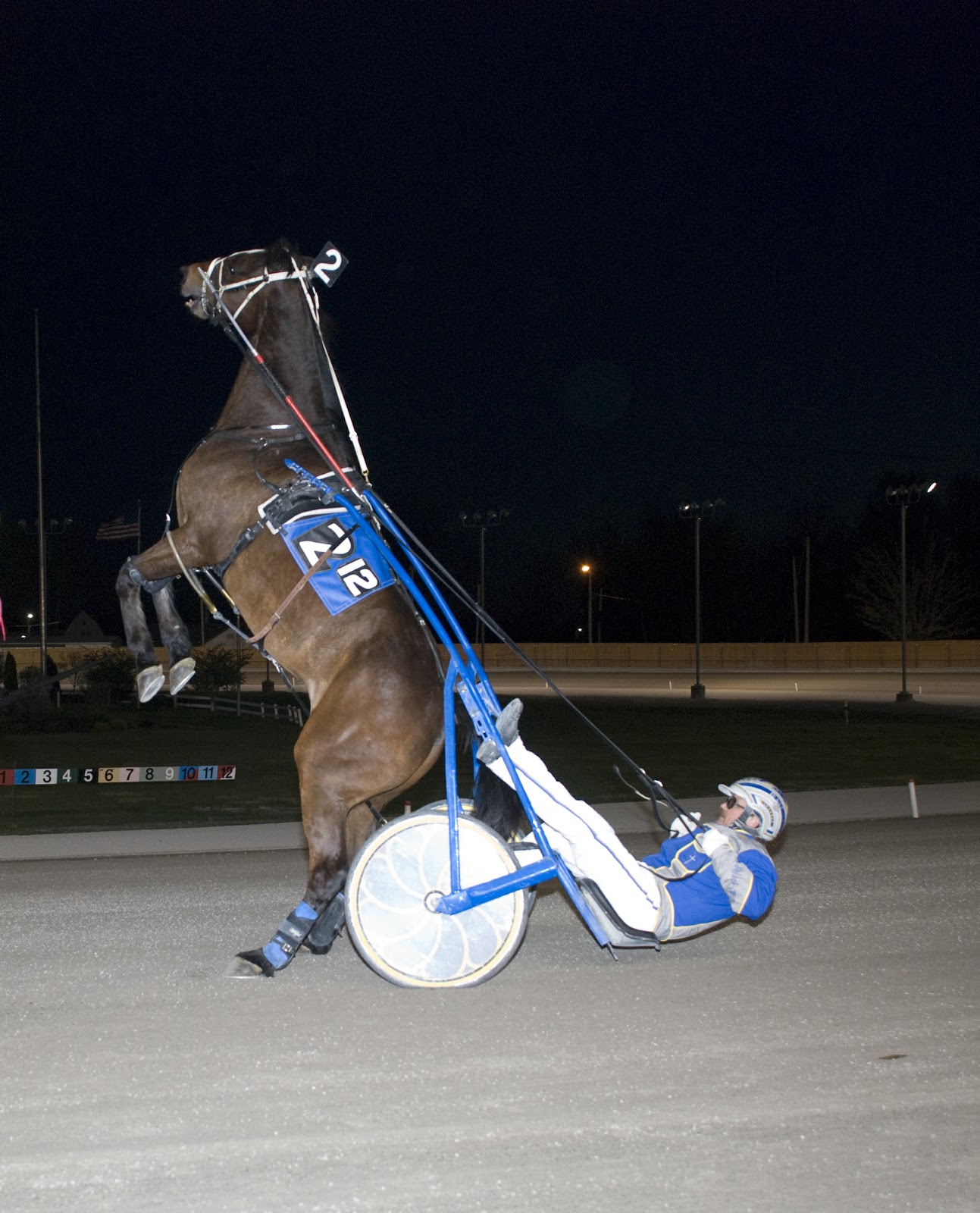 Standardbred Press Releases BR A Year of Changes Awaits the 2013