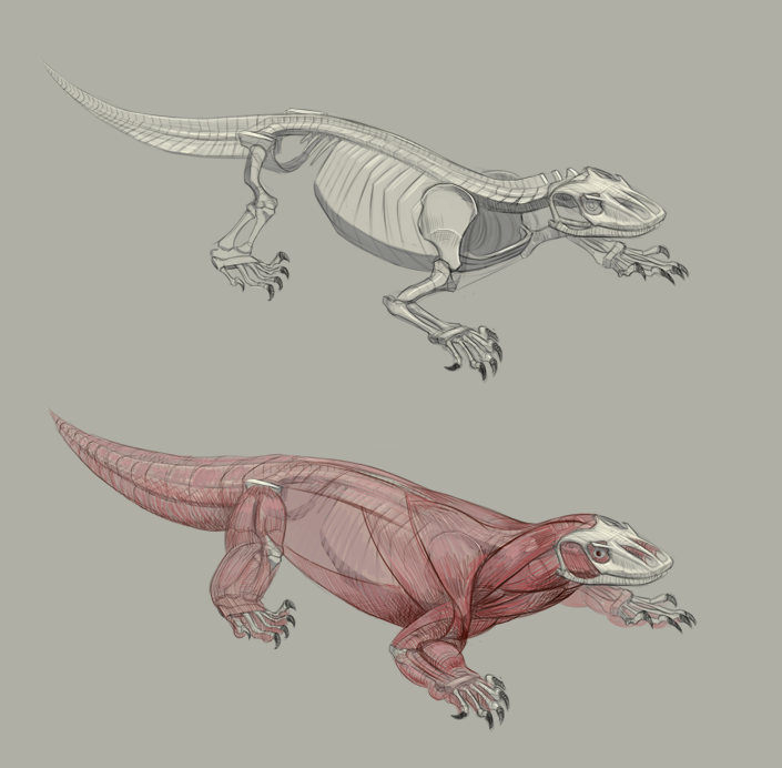 cgma animal drawing torrent cgma animal drawing torrent
