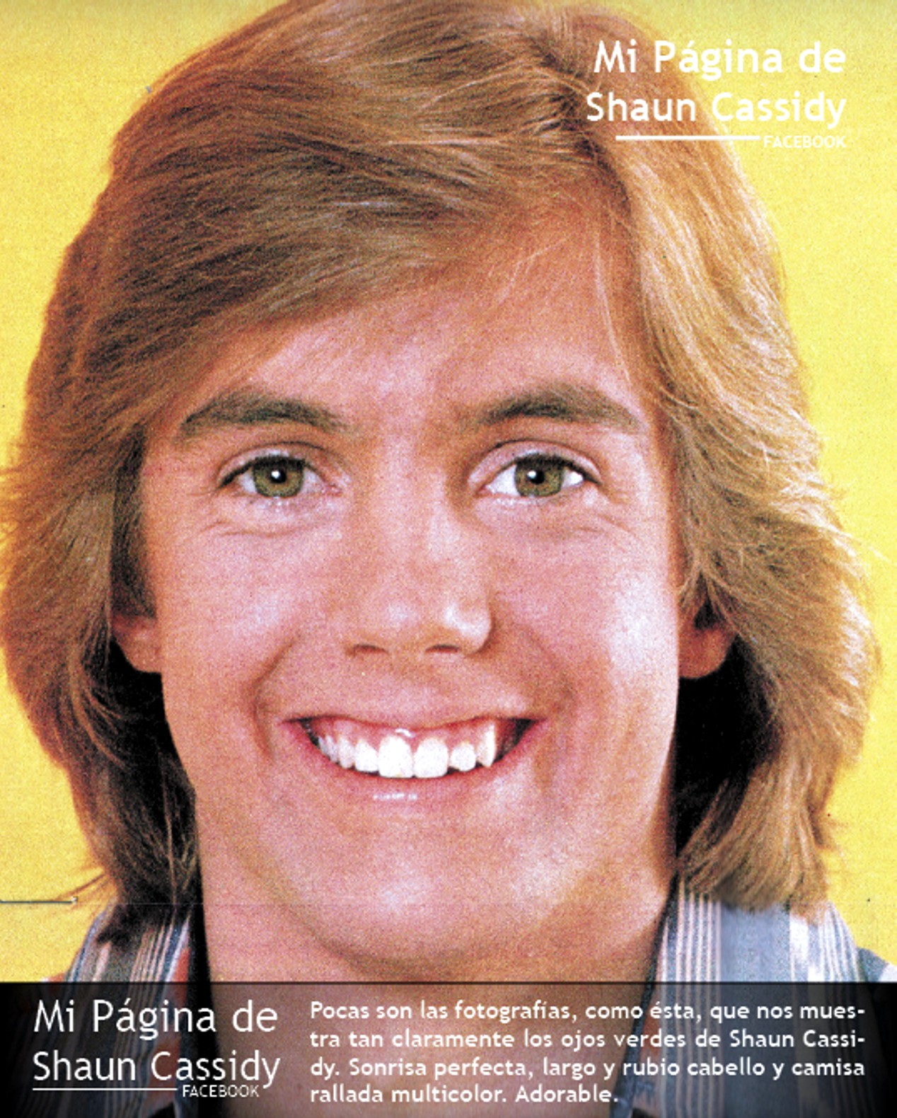Mi página de Shaun Cassidy febrero 2013
