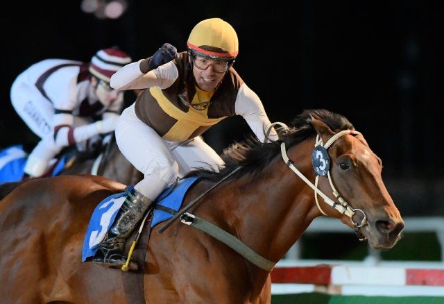 Marcus Aurelius corre hoy el Gran Premio 25 de Mayo en San Isidro Marcus Aurelius Catcher In The Rye