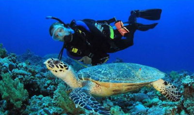 10 Gambar Objek Wisata Taman Lautan Bunaken, Harga Tiket Masuk – Wisata Terpopuler 10 Gambar Objek Wisata Taman Lautan Bunaken, Harga Tiket Masuk – Wisata Terpopuler