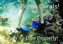 Don't BREAK Corals!