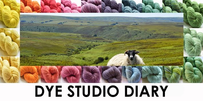 Dye Studio Diary